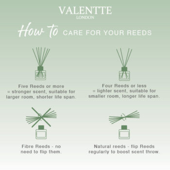 Reed Care Guide_